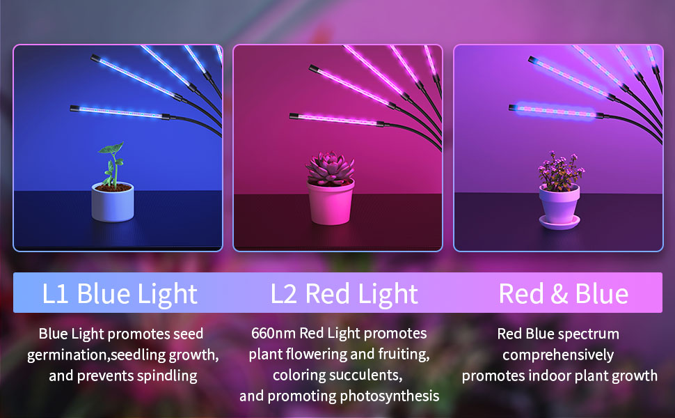 plant lights for indoor growing