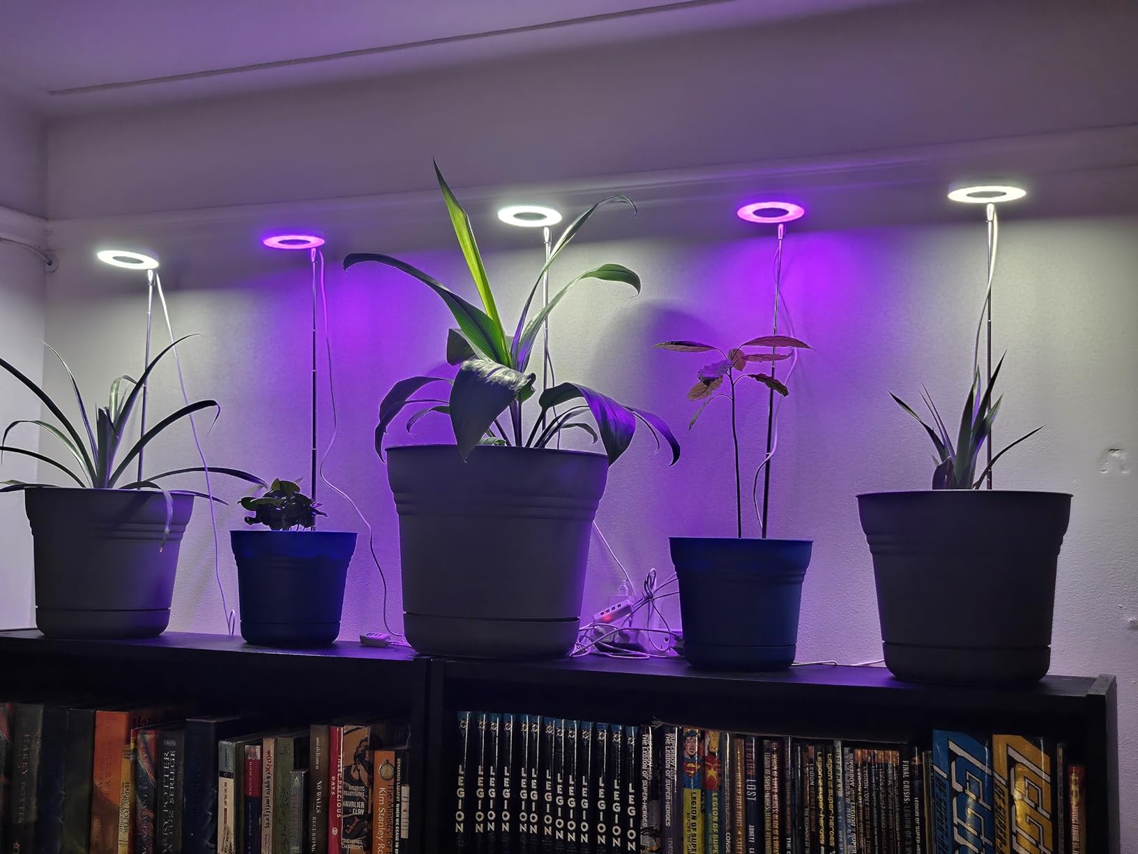 LORDEM Grow Light Review: Full Spectrum LED Plant Light for Indoor Plants with Adjustable Height, Auto Timer, and Dimmable Brightness - 2 Pack