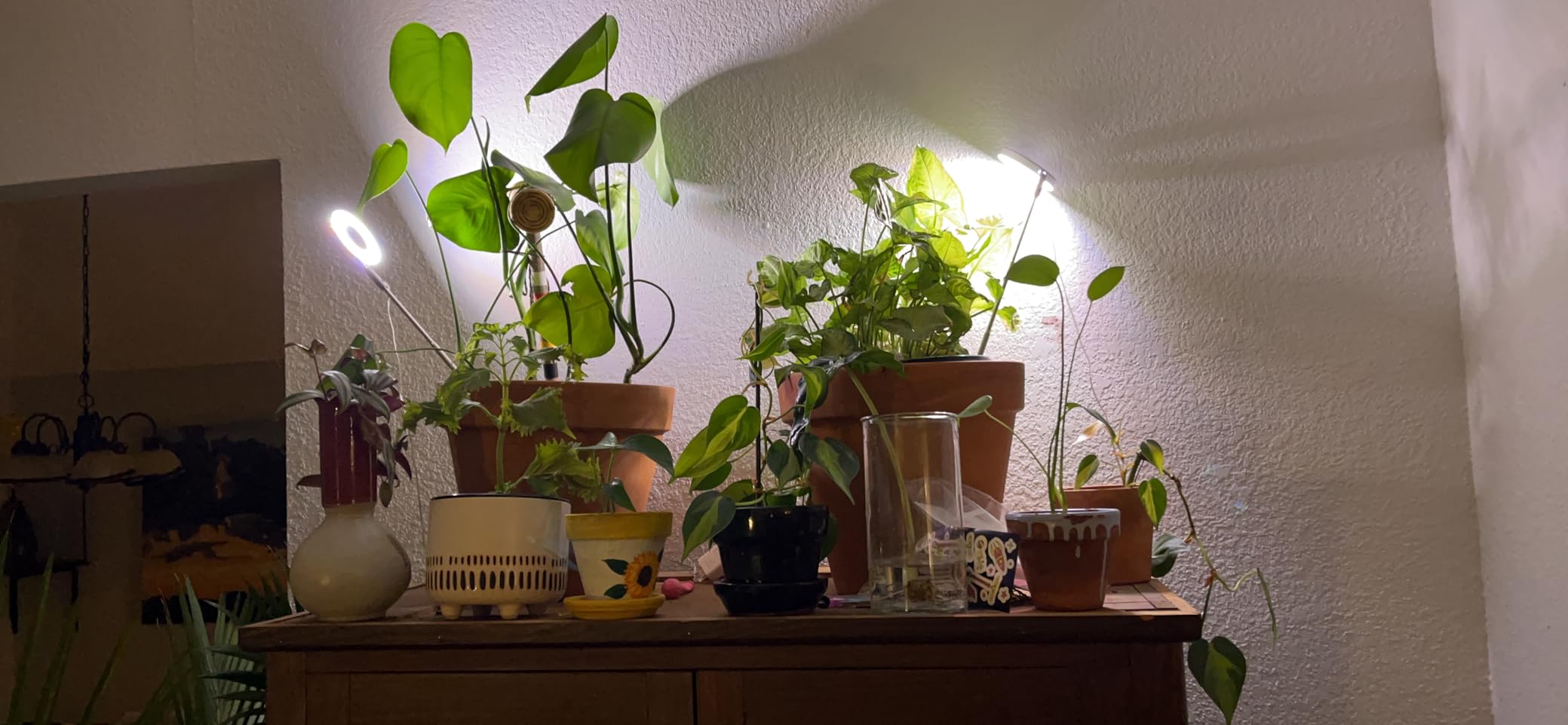 Yadoker LED Plant Grow Light Review: Full Spectrum, Adjustable Height, and Automatic Timer for Indoor Plants