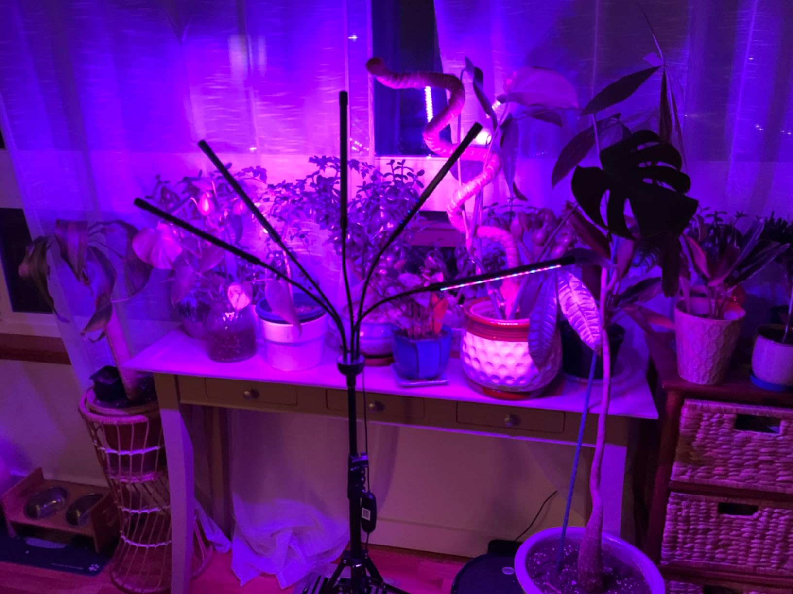 Newbie to grow lights