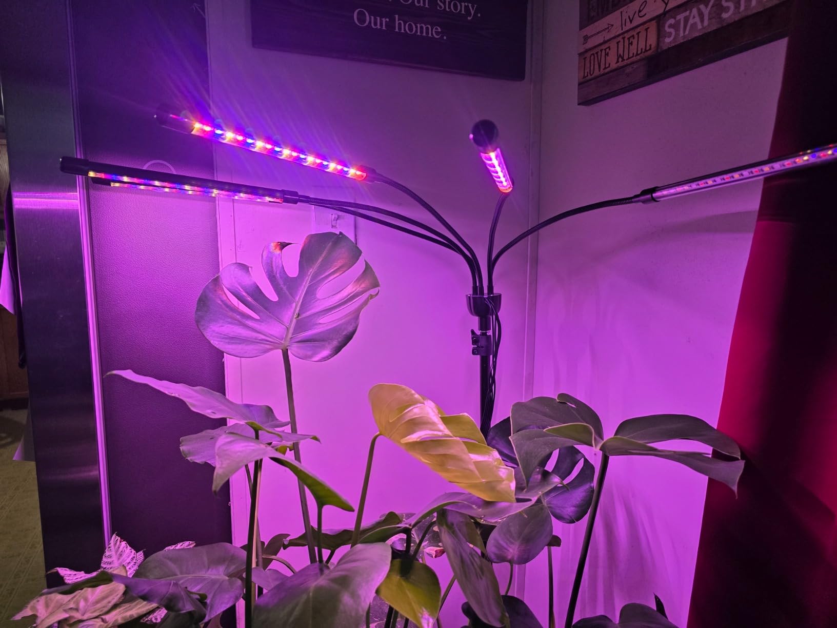 KEELIXIN Grow Lights for Indoor Plants: Full Spectrum 5 Heads Grow Lamp with Adjustable Tripod, Remote Control & Timer