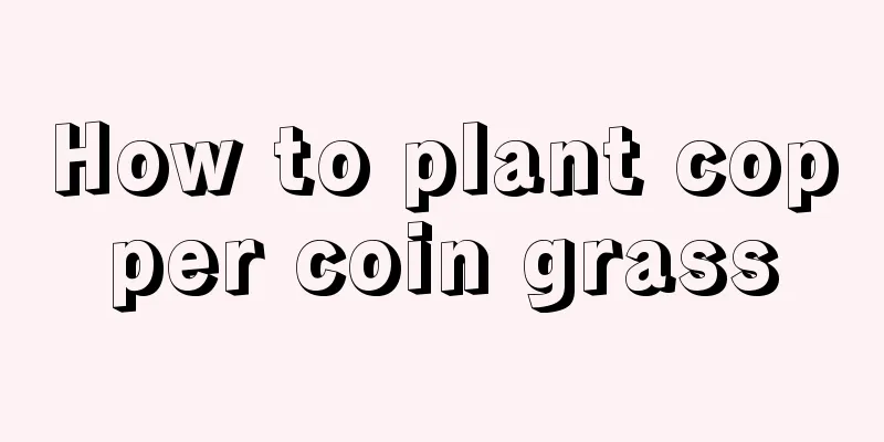 How to plant copper coin grass