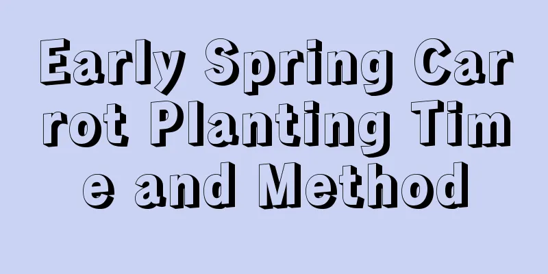 Early Spring Carrot Planting Time and Method