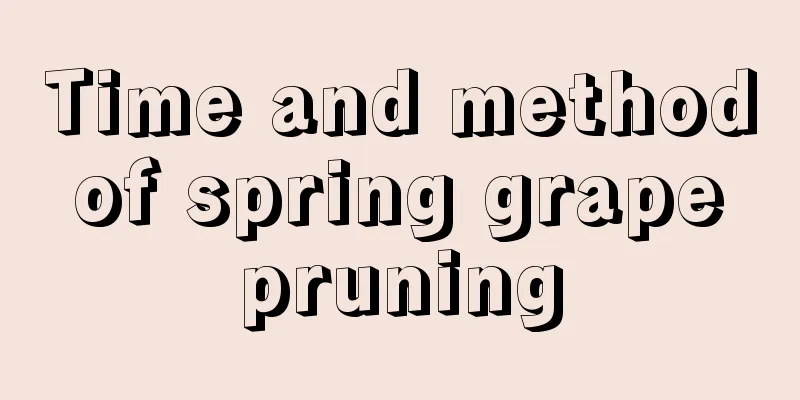 Time and method of spring grape pruning