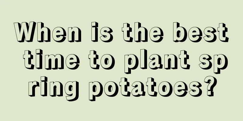 When is the best time to plant spring potatoes?