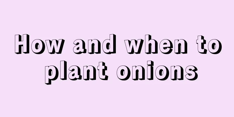 How and when to plant onions