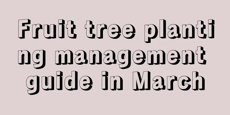 Fruit tree planting management guide in March