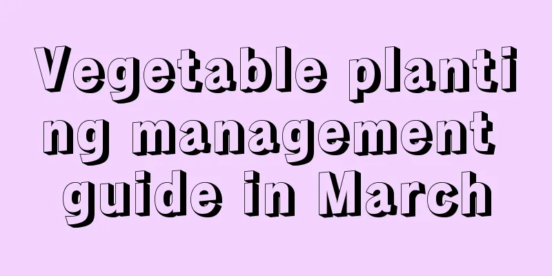 Vegetable planting management guide in March