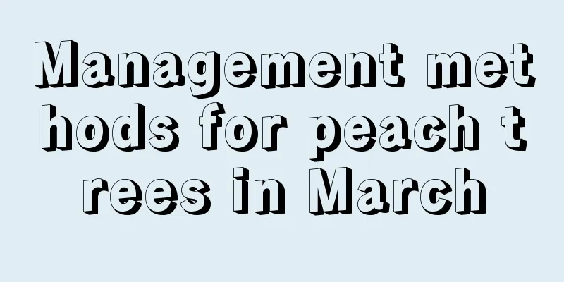 Management methods for peach trees in March