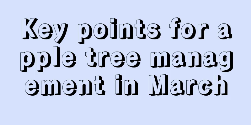 Key points for apple tree management in March