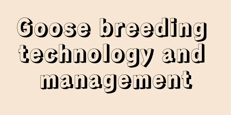 Goose breeding technology and management