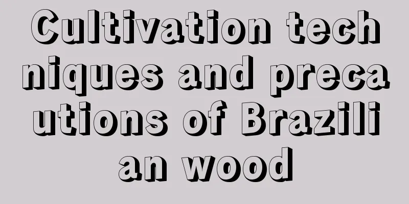 Cultivation techniques and precautions of Brazilian wood