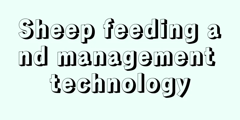 Sheep feeding and management technology