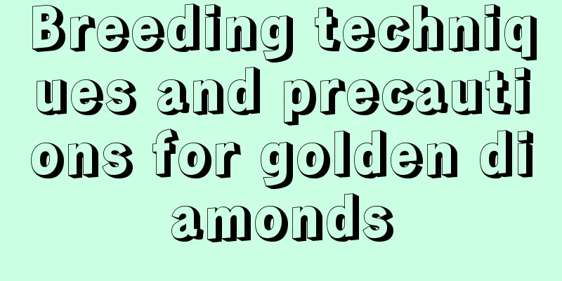 Breeding techniques and precautions for golden diamonds