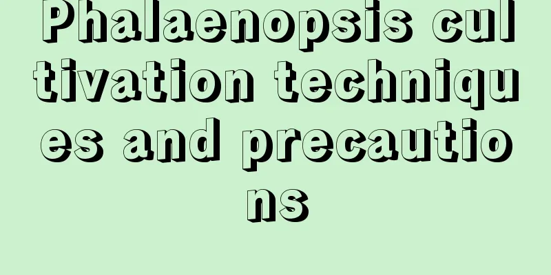 Phalaenopsis cultivation techniques and precautions