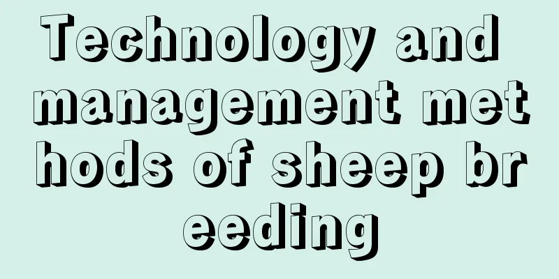 Technology and management methods of sheep breeding