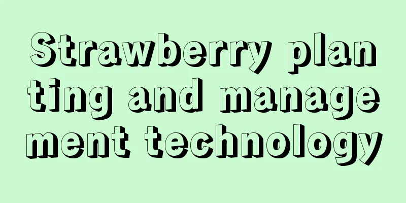 Strawberry planting and management technology