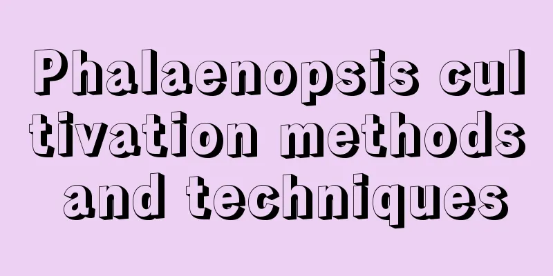 Phalaenopsis cultivation methods and techniques