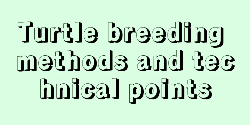 Turtle breeding methods and technical points