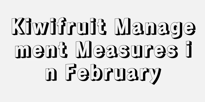 Kiwifruit Management Measures in February