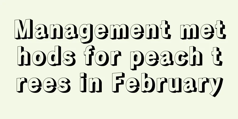 Management methods for peach trees in February