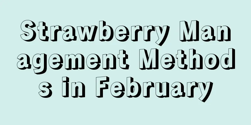 Strawberry Management Methods in February