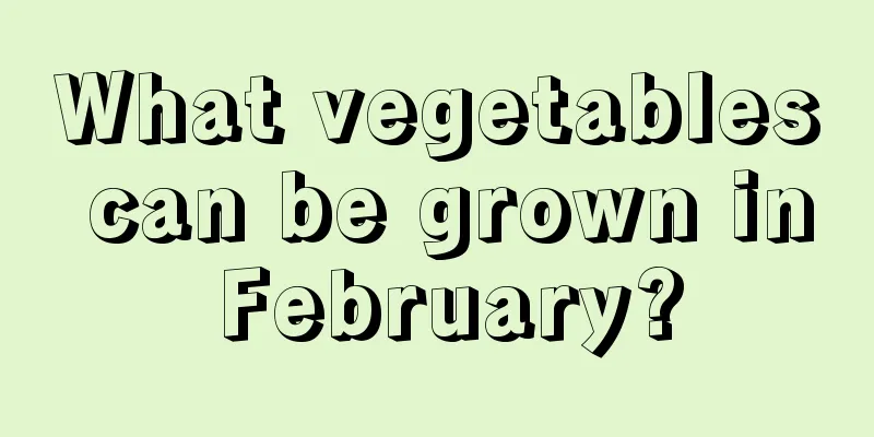 What vegetables can be grown in February?