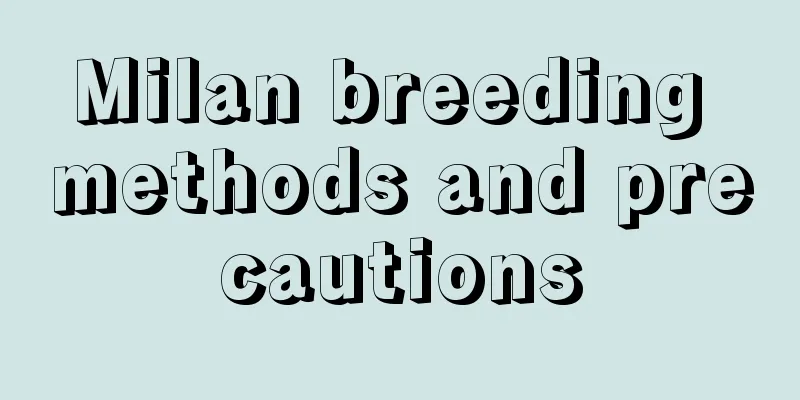 Milan breeding methods and precautions