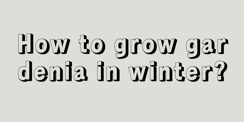 How to grow gardenia in winter?