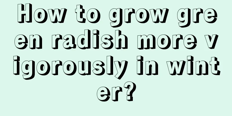 How to grow green radish more vigorously in winter?