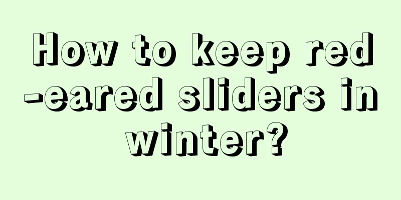 How to keep red-eared sliders in winter?