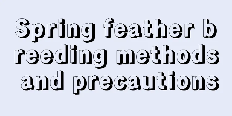 Spring feather breeding methods and precautions