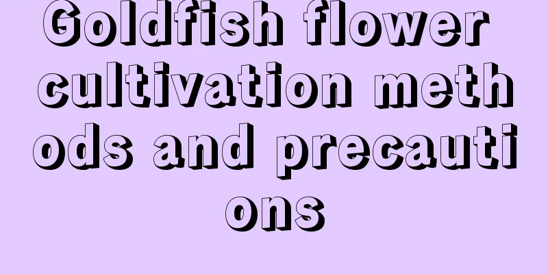 Goldfish flower cultivation methods and precautions