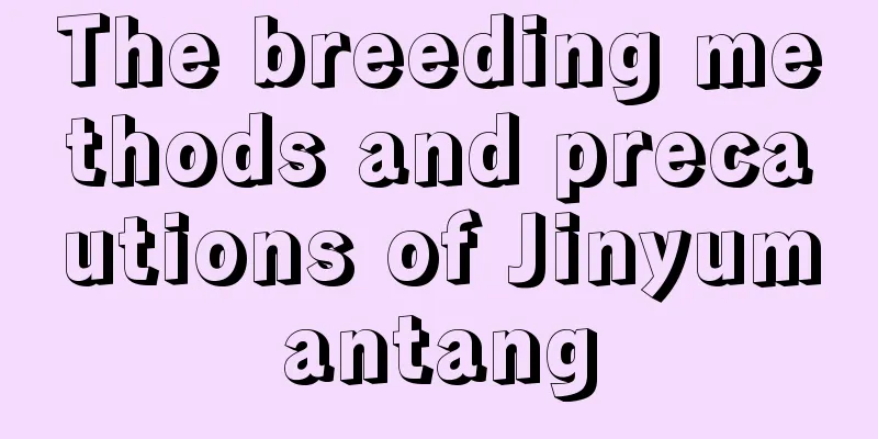 The breeding methods and precautions of Jinyumantang