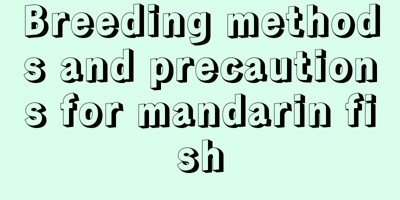 Breeding methods and precautions for mandarin fish