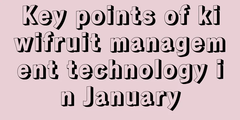 Key points of kiwifruit management technology in January