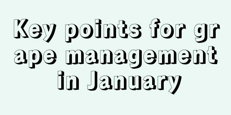 Key points for grape management in January