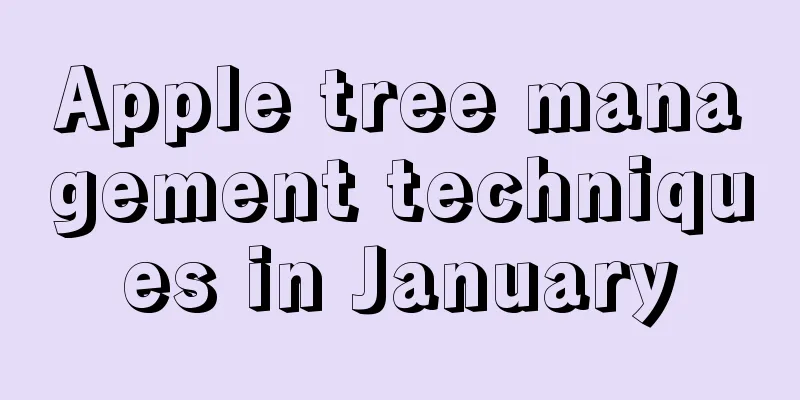 Apple tree management techniques in January