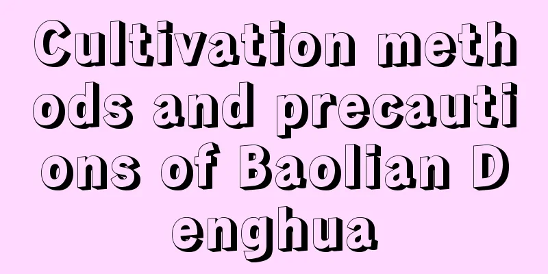 Cultivation methods and precautions of Baolian Denghua