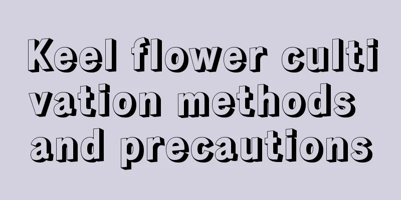 Keel flower cultivation methods and precautions