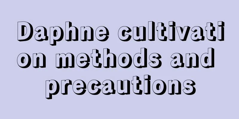 Daphne cultivation methods and precautions