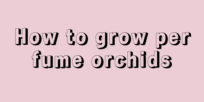 How to grow perfume orchids