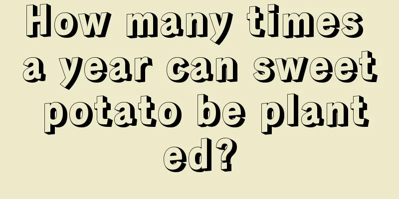 How many times a year can sweet potato be planted?