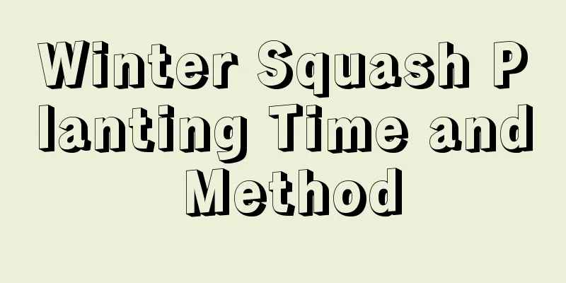 Winter Squash Planting Time and Method