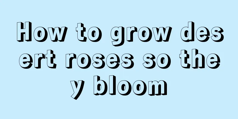 How to grow desert roses so they bloom