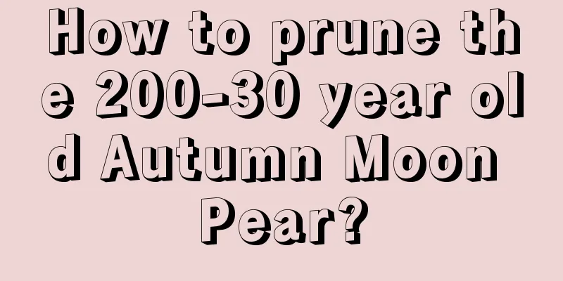 How to prune the 200-30 year old Autumn Moon Pear?