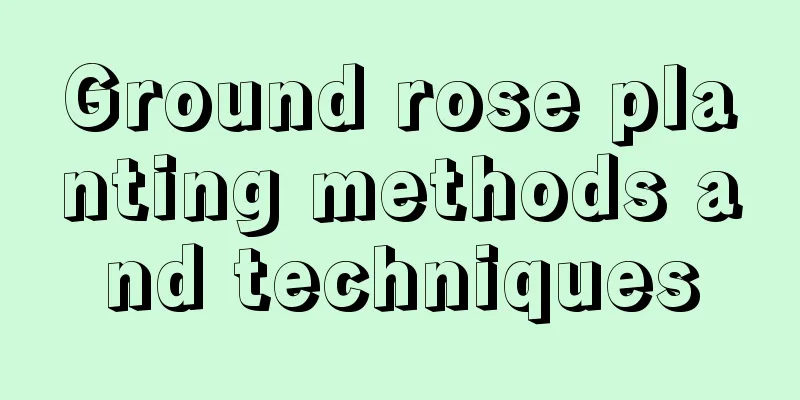 Ground rose planting methods and techniques