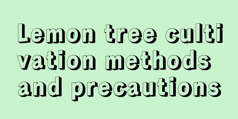 Lemon tree cultivation methods and precautions