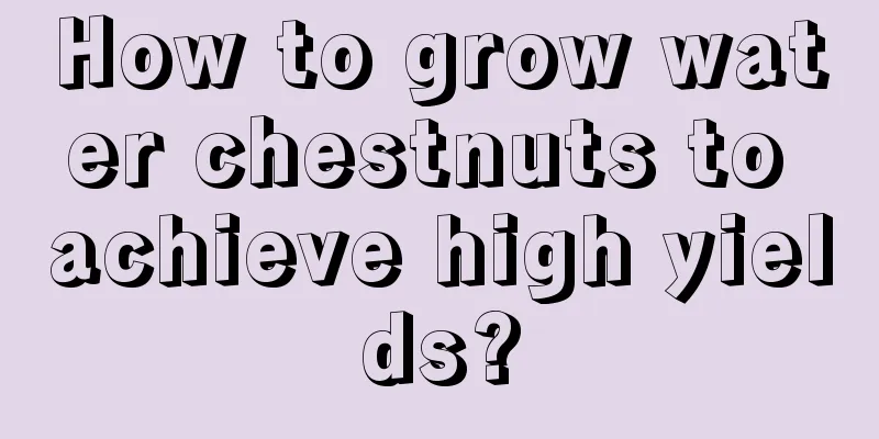 How to grow water chestnuts to achieve high yields?