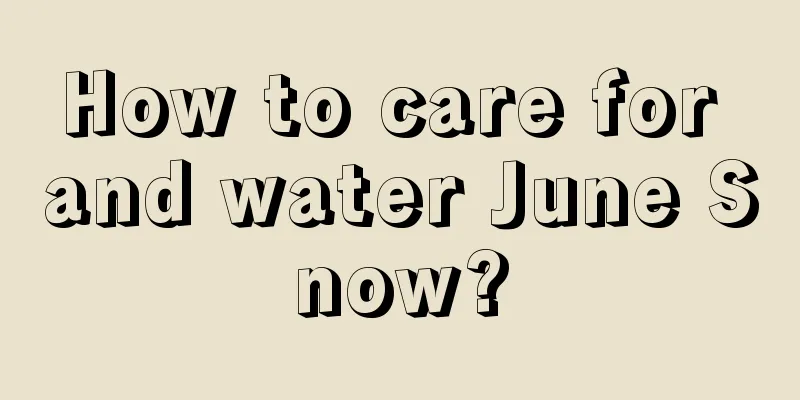 How to care for and water June Snow?